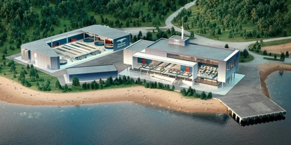 An illustration of American Aquafarms' sites for a hatchery, fish farm facilities, and a state-of-the art processing plant in coastal Maine.