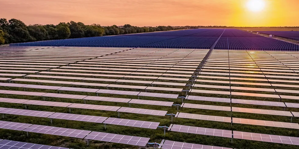 BP's Impact Solar array in Deport, Texas