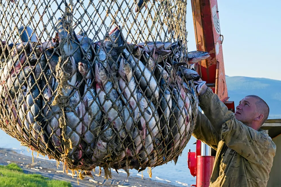 One Russian industry executive said this year's low salmon catches have to be looked at in a broader, historical context.