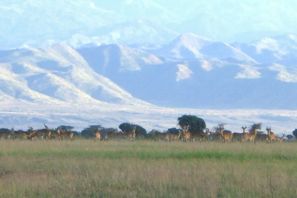 Virunga National Park, DR Congo