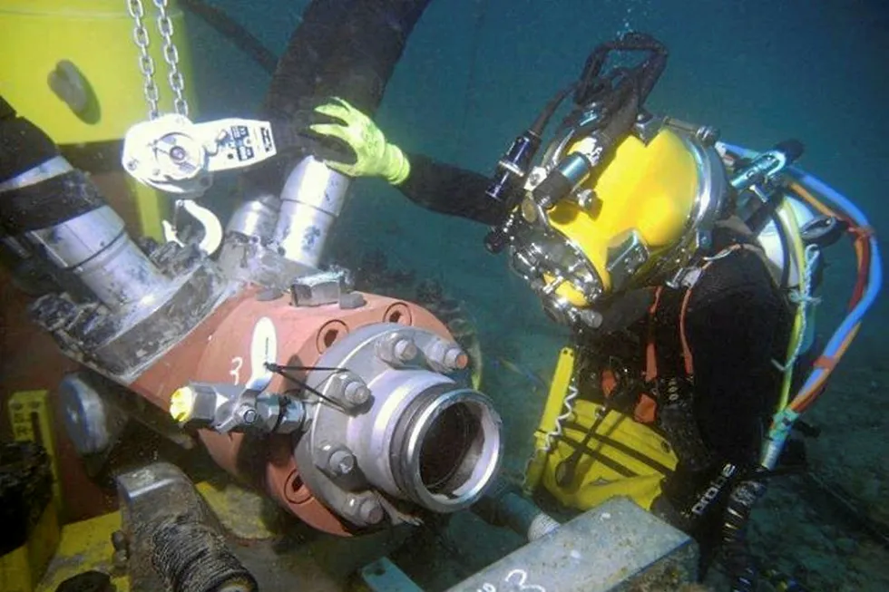 Expanding: Tams has acquired a marine services provider and a diving services provider in Queensland