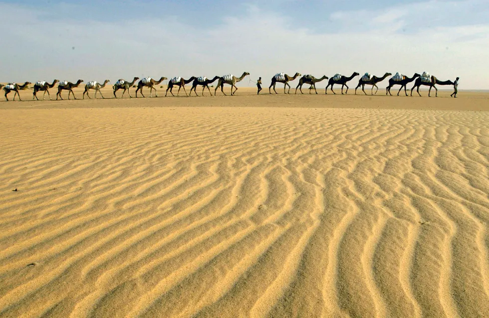 Drilling plans in Morocco: SDX Energy