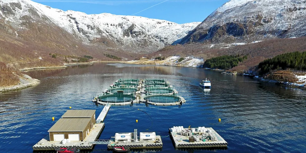 Akva Future's closed sea cages: just one of the industry's attempts to innovate to combat sea lice.