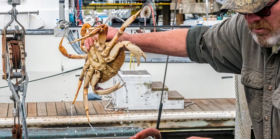 Typically, 75 percent of total catches in the fishery are caught in the first two months of the season.