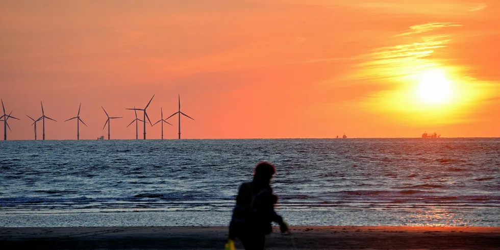 The sun sets over the Burbo Bank wind farm in the Irish Sea viewed from New Brighton, north west England on July 15, 2015. AFP PHOTO/PAUL ELLIS (Photo credit should read PAUL ELLIS/AFP/Getty Images) . Uk offshore wind.