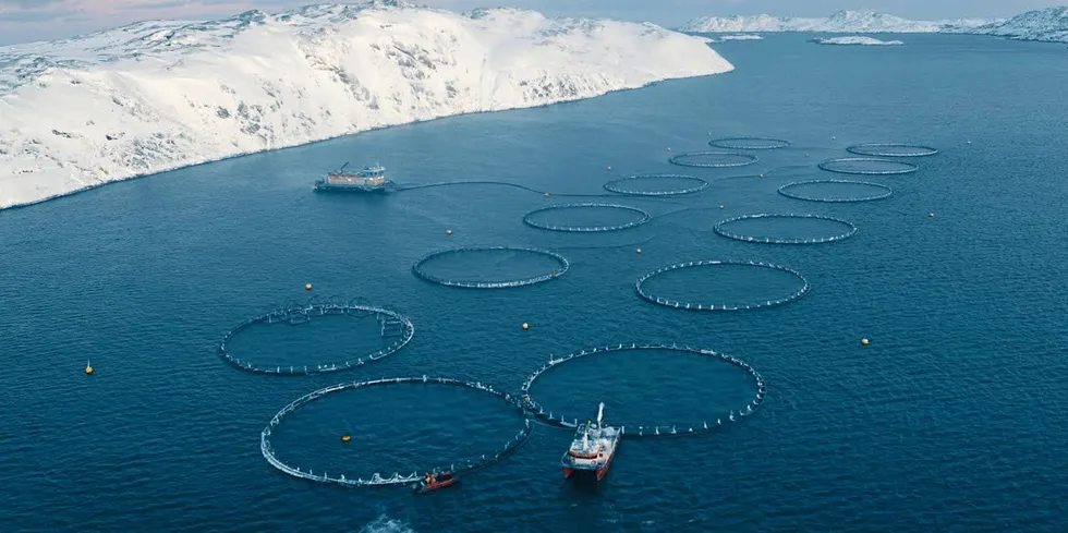 Russian Aquaculture's salmon farms near Murmansk, Russia.