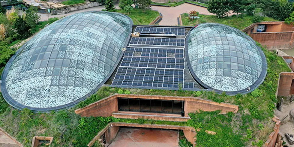 Hanwha Q Cells modules installed atop Copenhagen Zoo in Denmark.