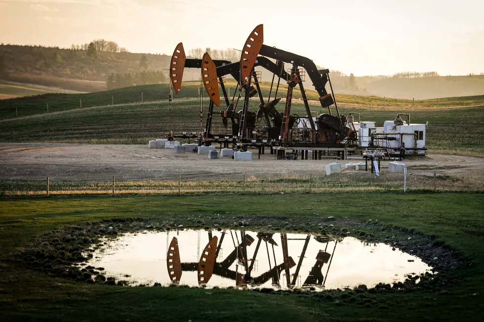 Pumpjacks at work near Calgary, Alberta.