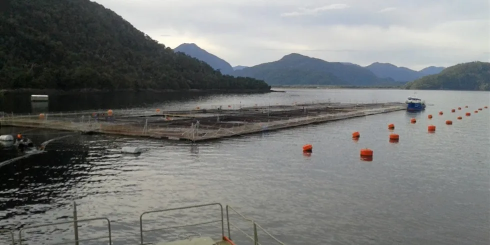 Chilean salmon farms are likely to face even greater environmental given the country's president is no fan of the industry.