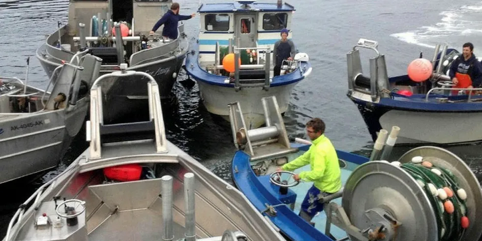Alaska's seafood economy is growing, according to an ASMI study.
