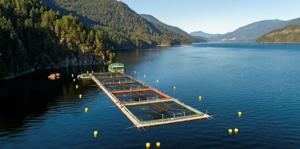 Salten farm, located off the Sunshine Coast, was one of six Grieg Seafood farms that achieved group BAP certification.
