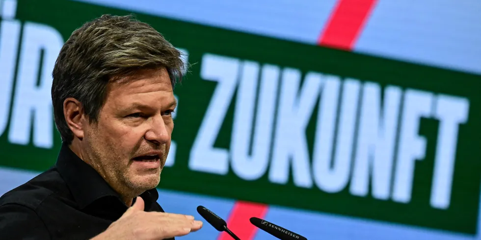 Co-leader of Germany's Green Party Robert Habeck delivers a speech.