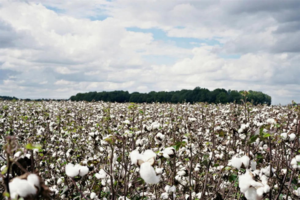 Cotton Valley: PetroQuest announced two well completions
