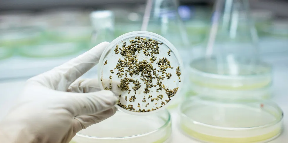 Should lab-grown seafood be labeled? BlueNalu founder says yes.