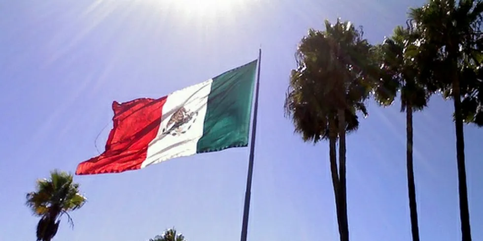 Enel starts construction of largest PV plant in Americas