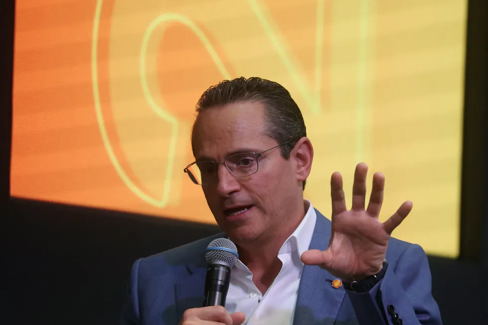 Shell chief executive Wael Sawan.