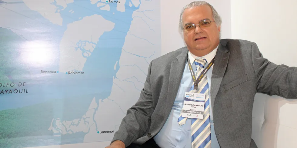 Songa President Rodrigo Laniado is on tenterhooks waiting for a decision from Chinese authorities.