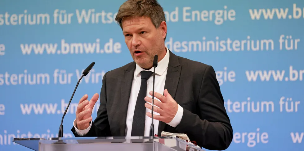 German economics and climate minister Robert Habeck.