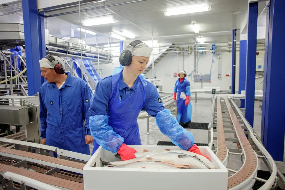 Higher living costs in Europe, a strong Norwegian currency and abundant fish supply are cited as key factors in lower salmon prices.