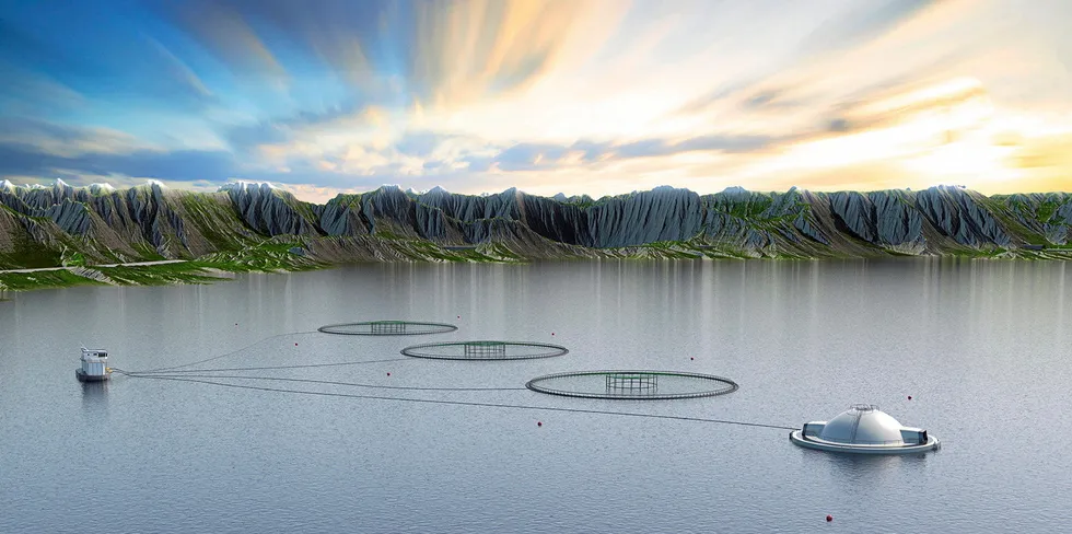 Aquaculture's future is bright: Find out where the investment opportunities lie, and which investors are backing the revolution.