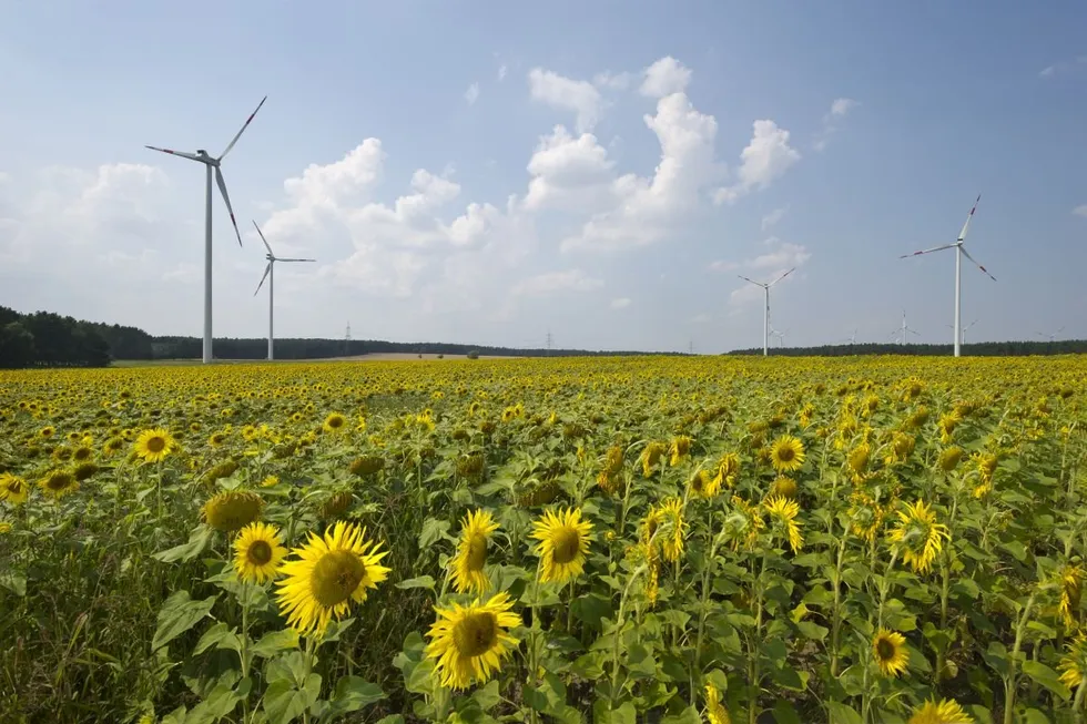 Windpark Buchhain