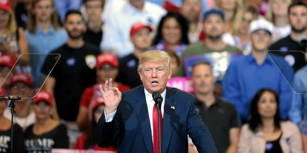 Former President Donald Trump, who is leading in polls for the upcoming US elections, has gone on several rants against wind turbines.