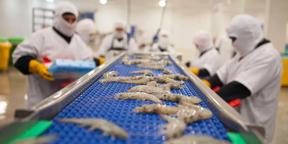 Ecuador shrimp producers are seeing boom times as demand grows in the US and China.