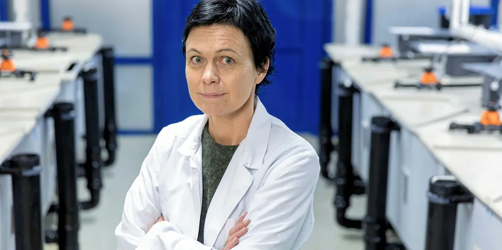 Ingunn Sommerset er fagansvarlig for fiskehelse ved Veterinærinstituttet.