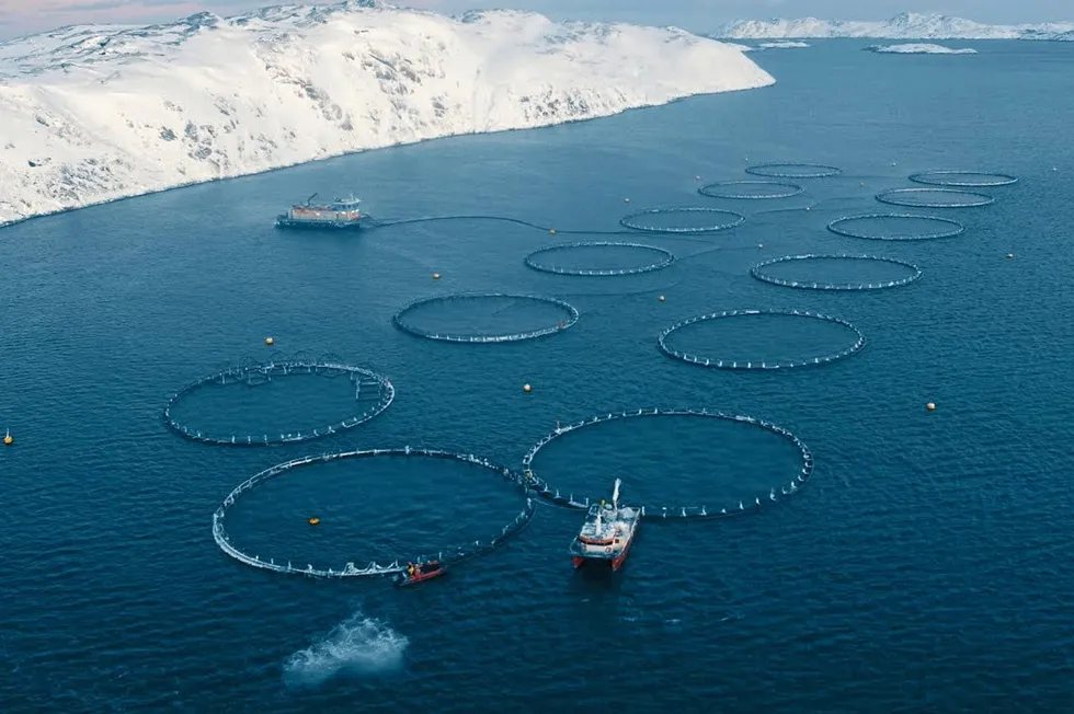Farmed salmon production in Russia reached 158,600 metric tons in 2023.