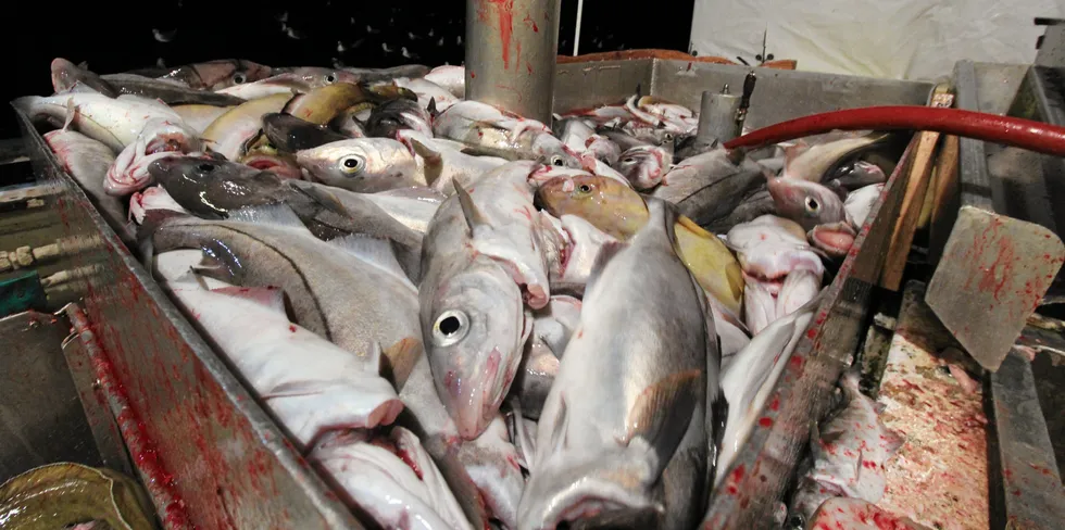 Haddock catches were set significantly higher for shared stocks in the North Sea.