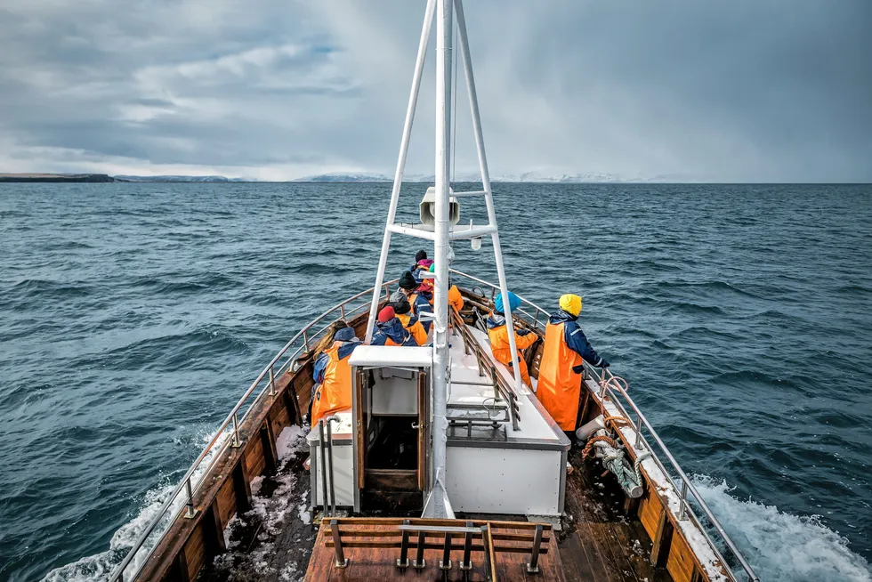 With global whitefish supply projected to drop by 100,000 metric tons next year, cod in particular will be harder to find.