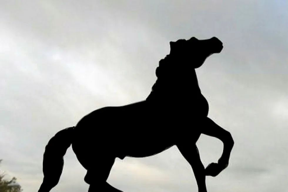 Mustang: the well failed to flow at commerical rates despite showing early promise