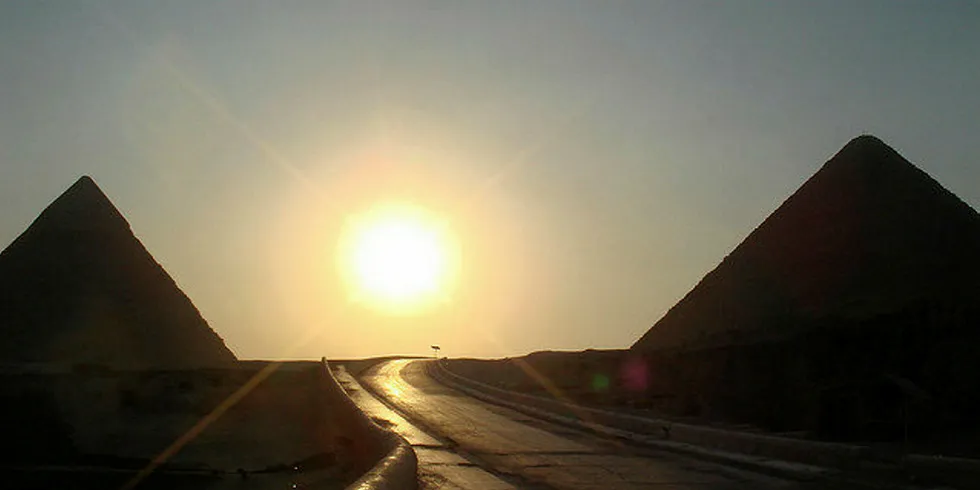 Contributing to Egypt's renewable energy target