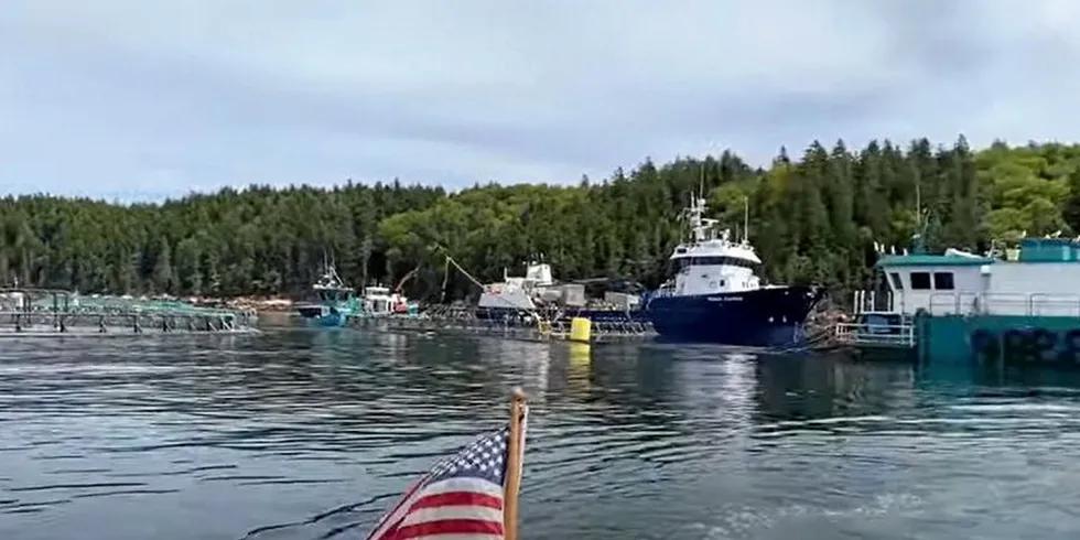 Cooke's salmon farm at Black Island in Maine.