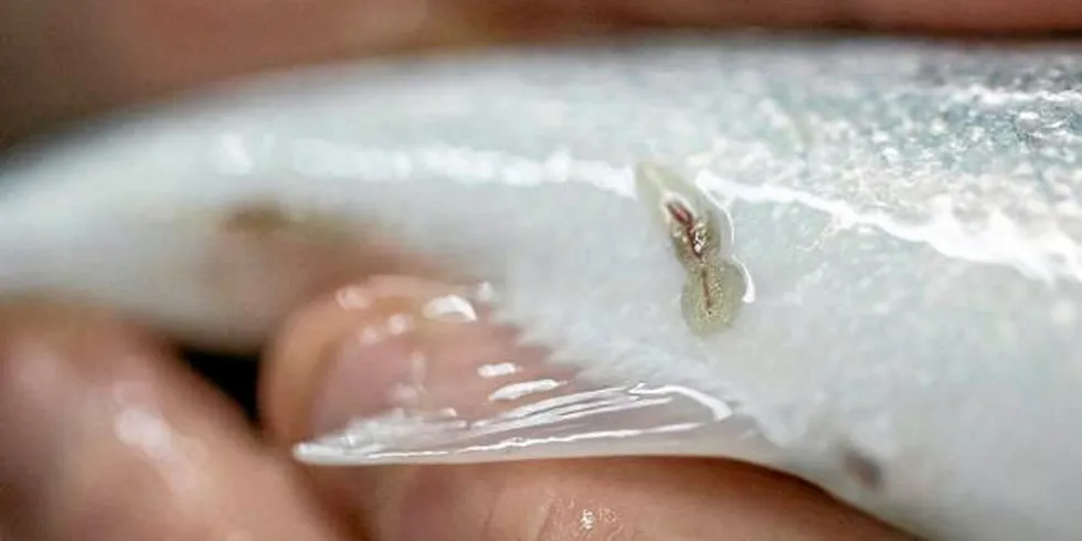 Benchmark is moving ahead with its 'moonshot' sea lice treatment despite EU politicians expressing concerns.