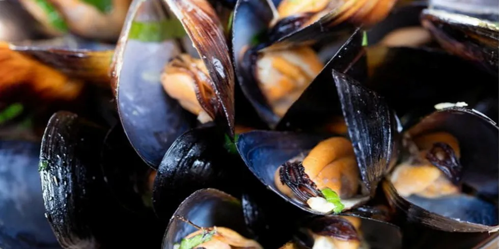 Executives at Australia's Yumbah Aquaculture have had their eyes on Eyre Peninsula Seafoods for some time.