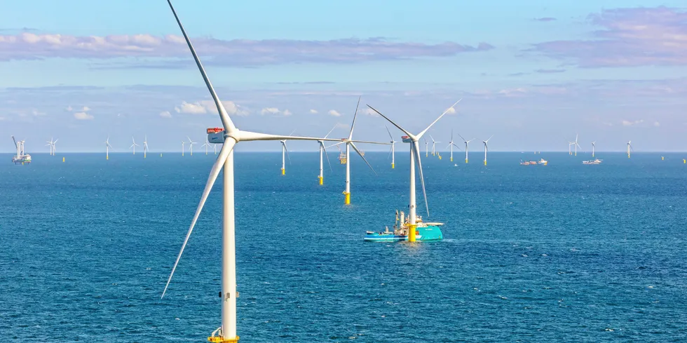 Borssele 3&4 wind farm with Vestas 9.5MW turbines