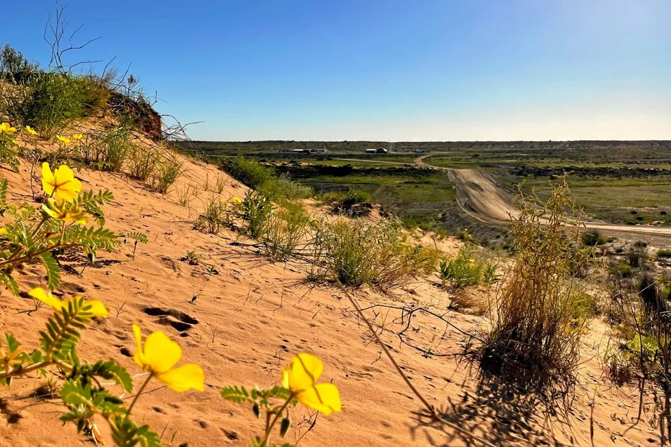 The Cooper basin: hosts Beach's Western Flank fields