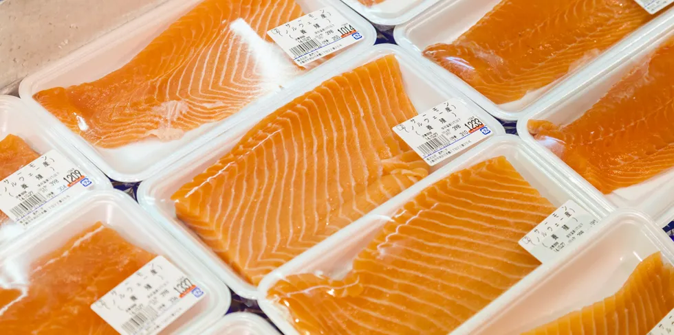 Should further production be planned, it would readily find a home in the Japanese market, where the annual demand for Atlantic salmon is around 60,000 metric tons and growing.