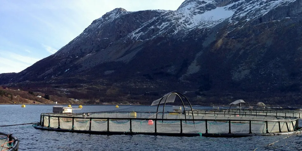 Norwegian farmed salmon prices continue to feel the effects of coronavirus.
