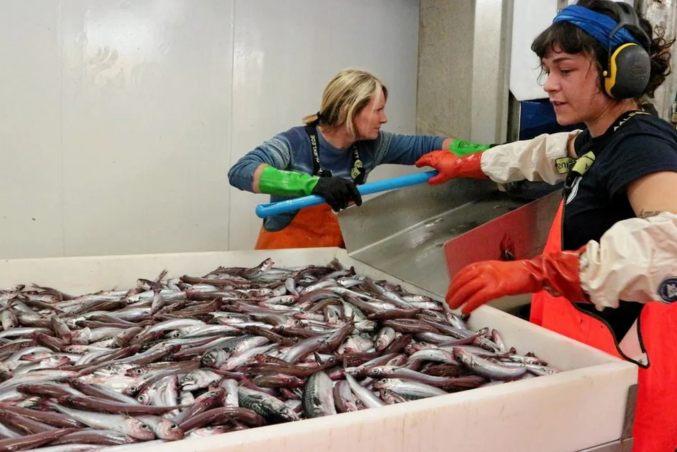 During the 60-day research trip, marine scientists mapped an area of ​​approximately 2.5 million square kilometers in the Northeast Atlantic.