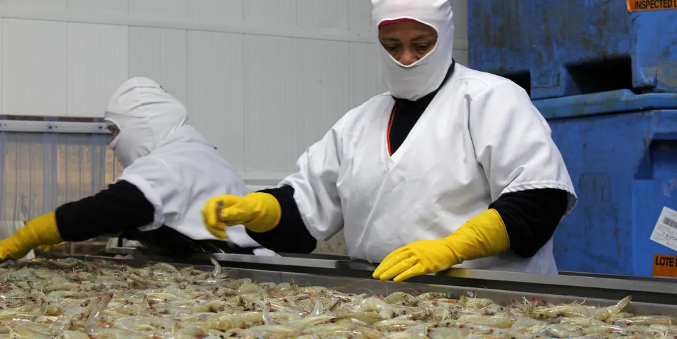 Ecuador shipments to China up for a second month in a row.