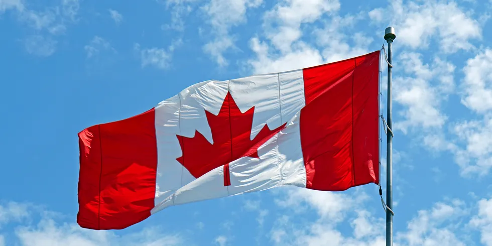 Nova Scotia firm gets $726,000 loan to expand salmon farm