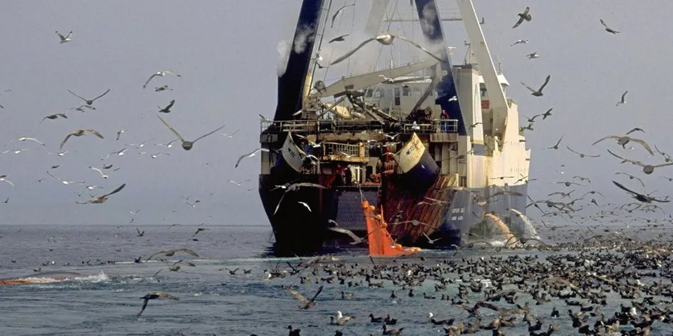 Rosrybolovstvo pointed out that if pollock biomass coming into Russia’s EEZ from US waters is significant, Russian fishermen will be able to catch even more than 150,000 metric tons, as the regulator has the right to quickly increase fishing volumes in the new area.