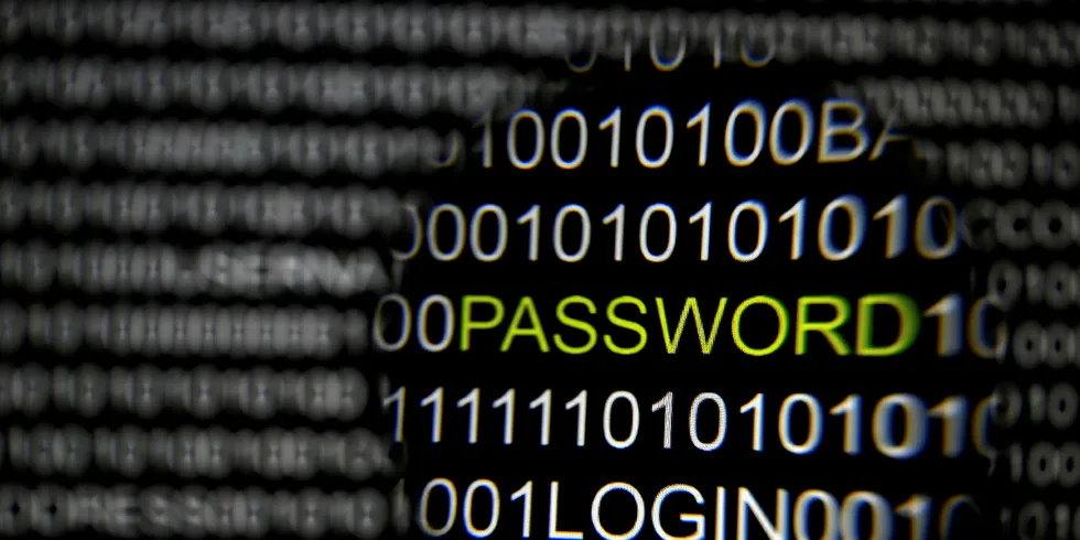 A magnifying glass of a computer screen that reads password