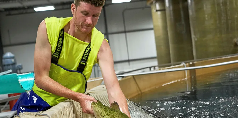 The company's AquAdvantage salmon will represent the first sale of a genetically engineered animal protein in the United States.