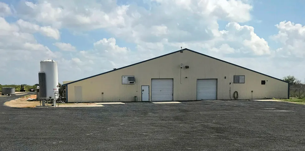 NatrualShrimp is evaluating its options after it Texas plant was destroyed by fire.