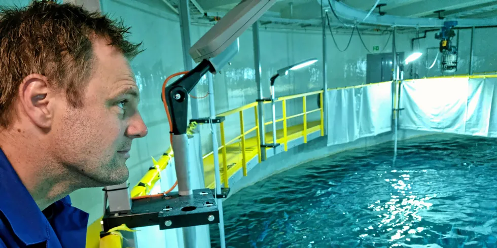 Biological performance continues to be strong for land-based salmon farmer Salmon Evolution.