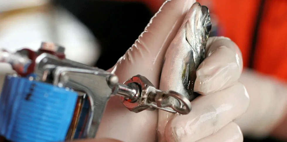 Fish vaccine sales increased in 2019.