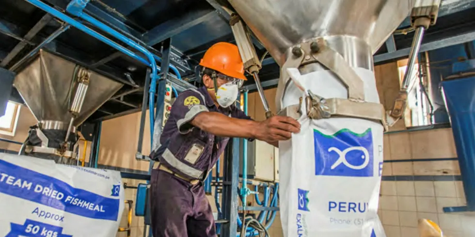 Peruvian anchovy fishmeal at an Exalmar factory.